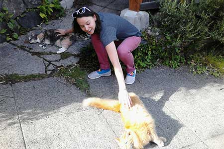 Addie petting two cats